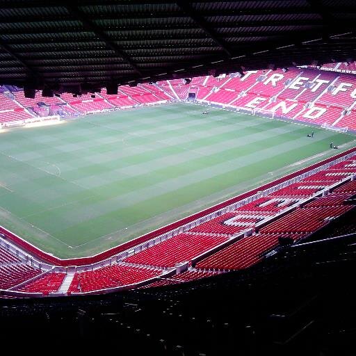 bonganincube11's profile picture. 