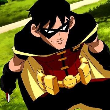 I have been trained by the best @GothemsHero_01. I am part of Young Justice. I am a natural born leader. # DC #YJ