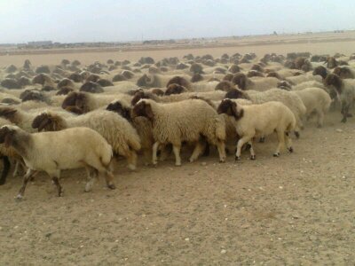 للتواصل عبر 0503521042
