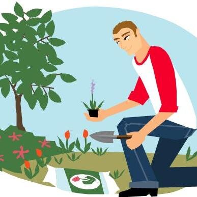 Sadovod52's profile picture. 