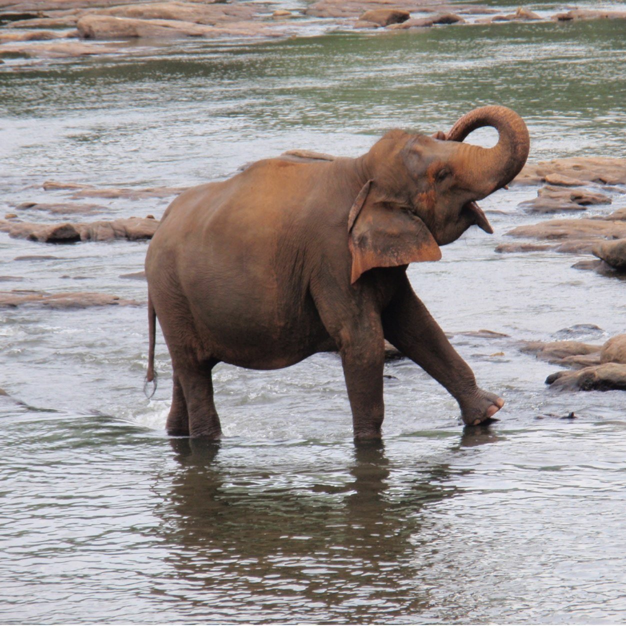 BIMsolutions_NL's profile picture. 