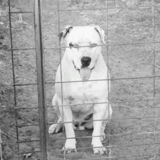 skumboy87's profile picture. Why am I so differently wired?