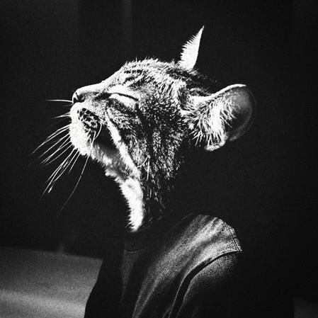 stas___lol's profile picture. 