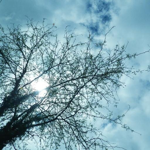 BlogfromtheBlue's profile picture. I'm Anshuman Bordoloi- Banker+Blogger. I write about my #JourneyOfLife, #TravelInspiration and my #expatLife at Muscat. LikeUs at: https://t.co/vYnRE6d8z2