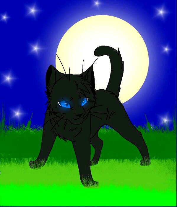 Hey.. i'm Moonkitt ! i have the magic power from the moon ! i'm a shy she-kit and loves you more than everything.  Mate:storm Clan:none #shy#young#wild