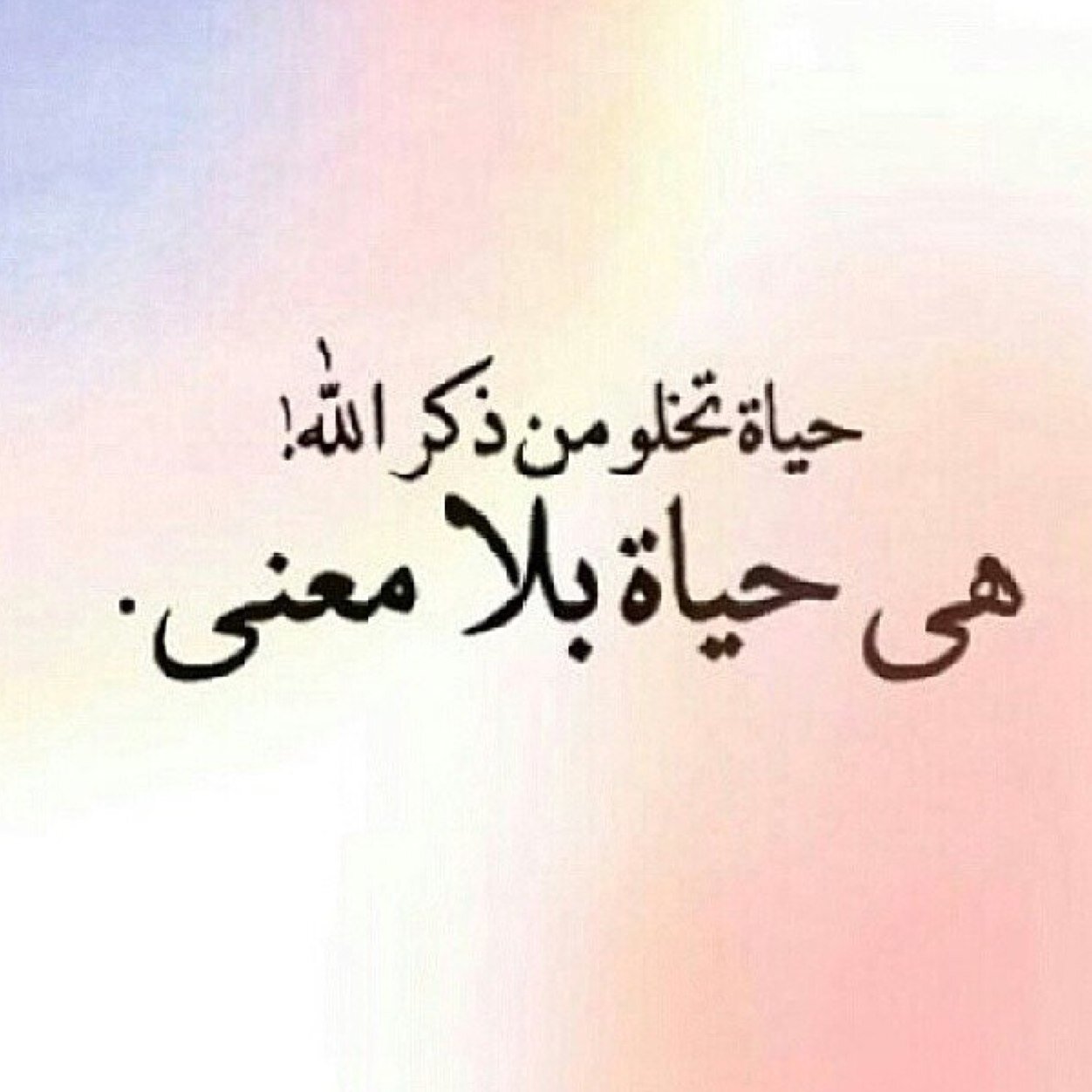 LamAlobaidi's profile picture. 