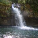 Maureen Longley - @aroseinwa - Twitter