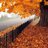 paty_small's profile image