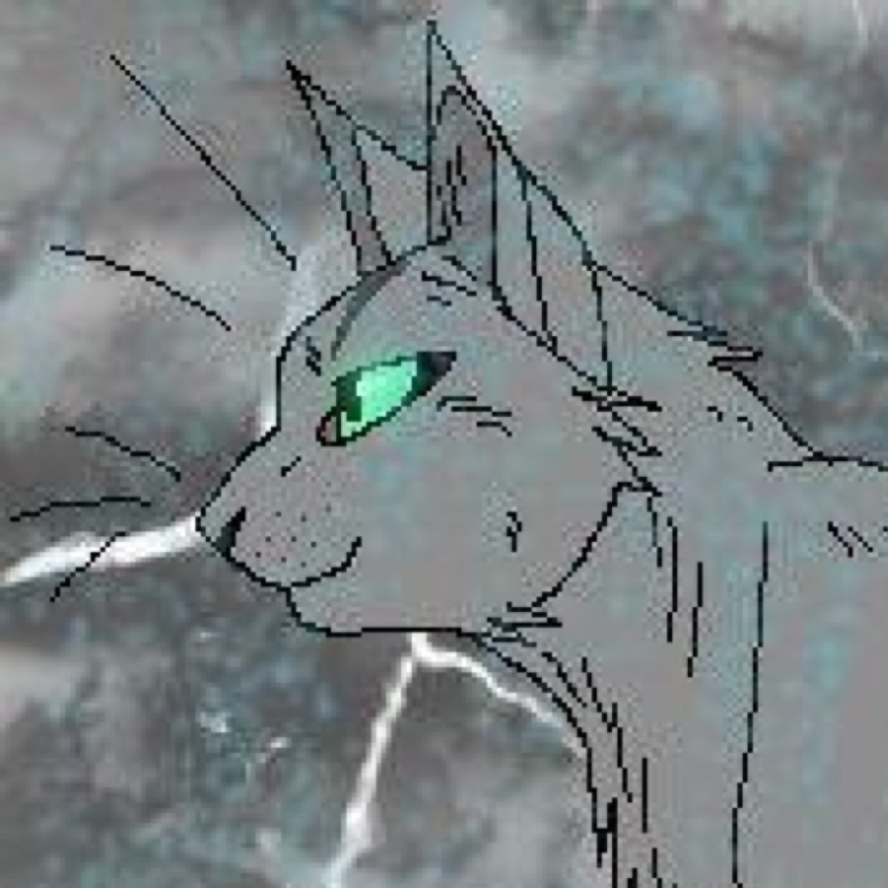 Storm, young gray tabby tom kit with aquamarine eyes. I've been through a lot.. Too much. Immortal, half evil. Mate @_Moon_light_cat, love her very much.