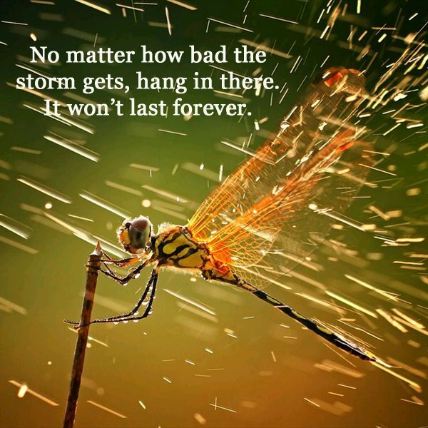 napolitana3's profile picture. black lady witch