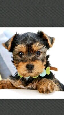 JudithRubio25's profile picture. 