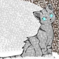Blizzard (@blizzardpaw_) 's Twitter Profile