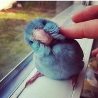 Lo Mejor de Twitland (@unpocogalan) 's Twitter Profile