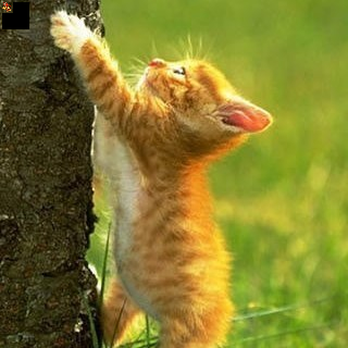 XDAYfilms's profile picture. 🎬
A visual media project by DAY.
Visual stories, short films, and real moments — where art meets the age of AI.
Exploring the world through the lens of DAY.