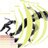 SportZakopane's profile image