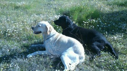 PaulaCascos's profile picture. 