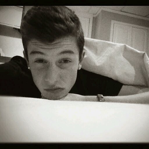 Shawn Mendes || single || etero