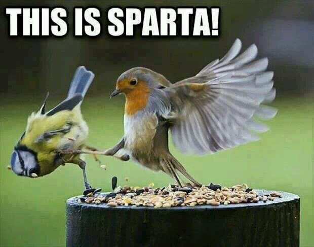 Awesome! That's enough.