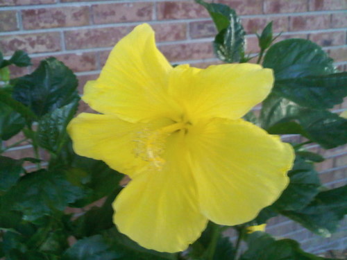 PamDavisLMTRYT's profile picture. I'm here to let massage therapists know about my LOW COST online CE courses.