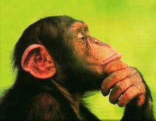 Cualquier frase que no puede vivir en mi mente debe de ser arrojada a Tweeter