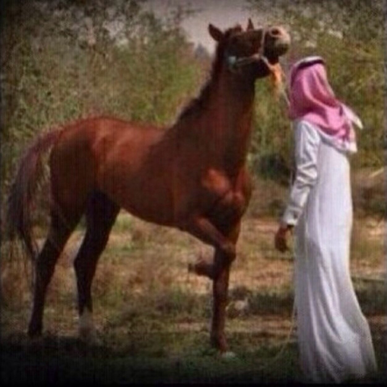 لأجله بكت دمعتي ولأجله ضحك نابي ..