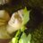 macili22's profile image