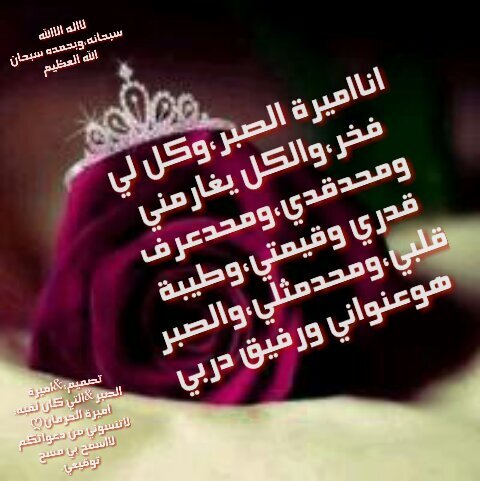 تم حذف البرامج