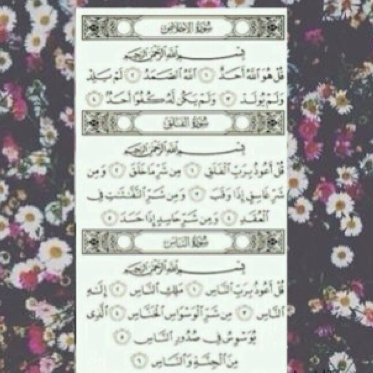 صدقه جاريه لامي رحمها الله ✨