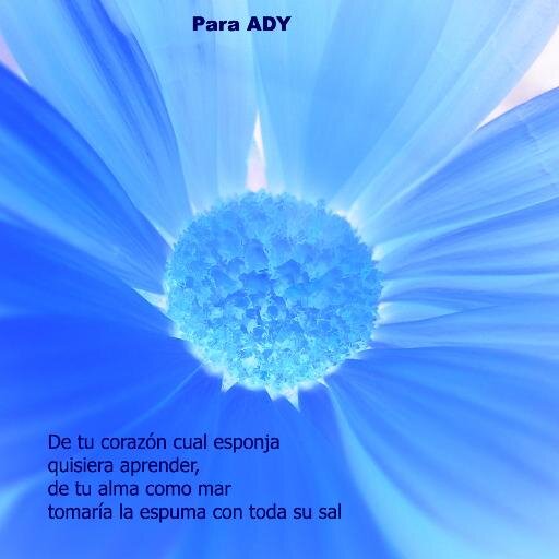 cumplo años el 21 de enero