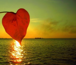 BIIlELZIN's profile picture. 