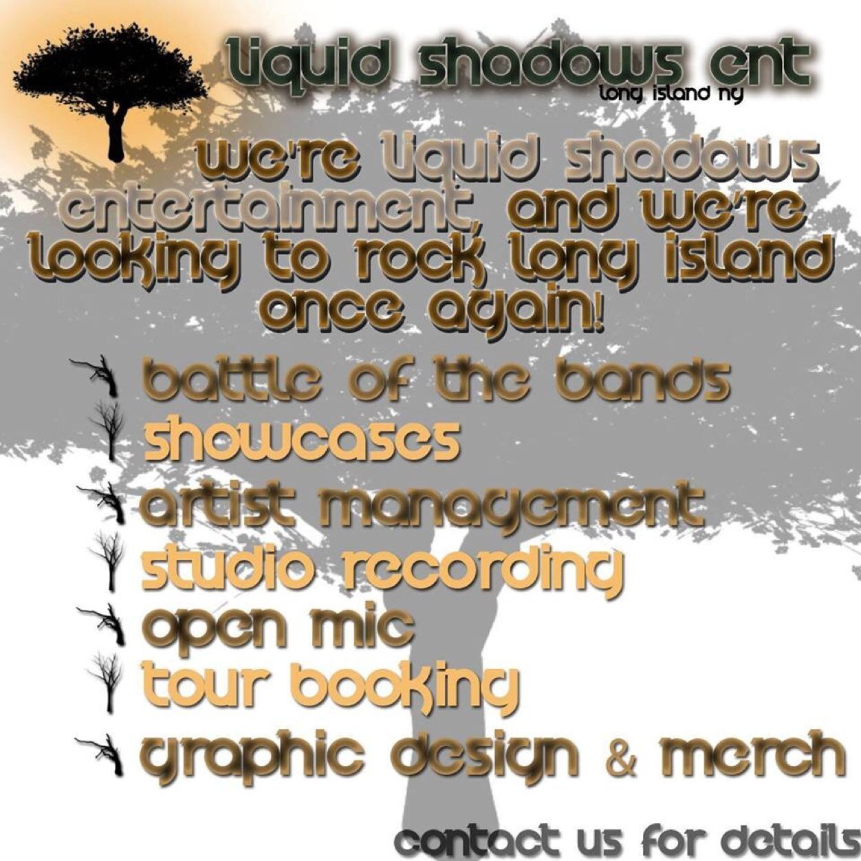 Liquid Shadows Entertainment is an artist management and booking company based in Long Island, New York! Formed in 2006 we have worked with nationals and locals