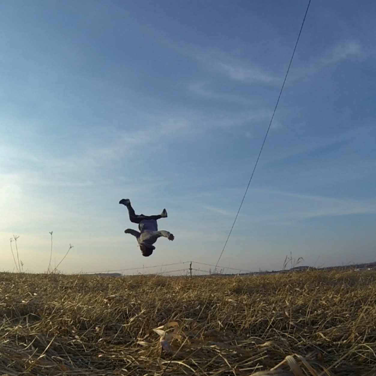 zenweNJ's profile picture. 