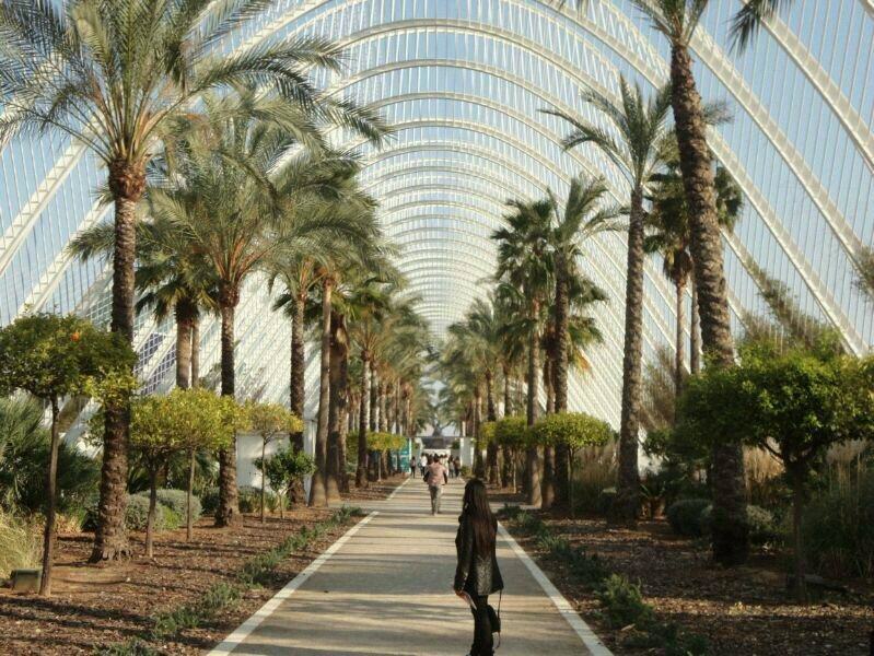 Adralexan's profile picture. Terrícola