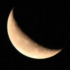 다양한 장르들의 음악을 링크와 함께 추천해서 올립니다. 맞팔합니다. 모두 행복한 하루 보내세요! ^^