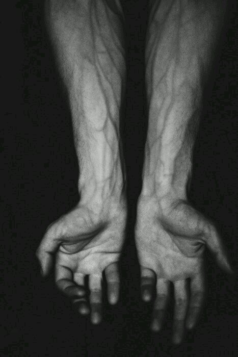 obliviousqueen's profile picture. 