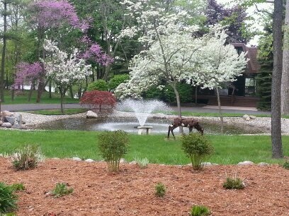 Rbrown62891's profile picture. 