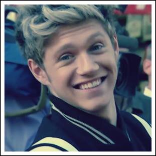 AMO ONE DIRECTION SOU APAIXONADA POR ELES 3 3