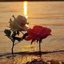 mona (@11maq11mq) Twitter