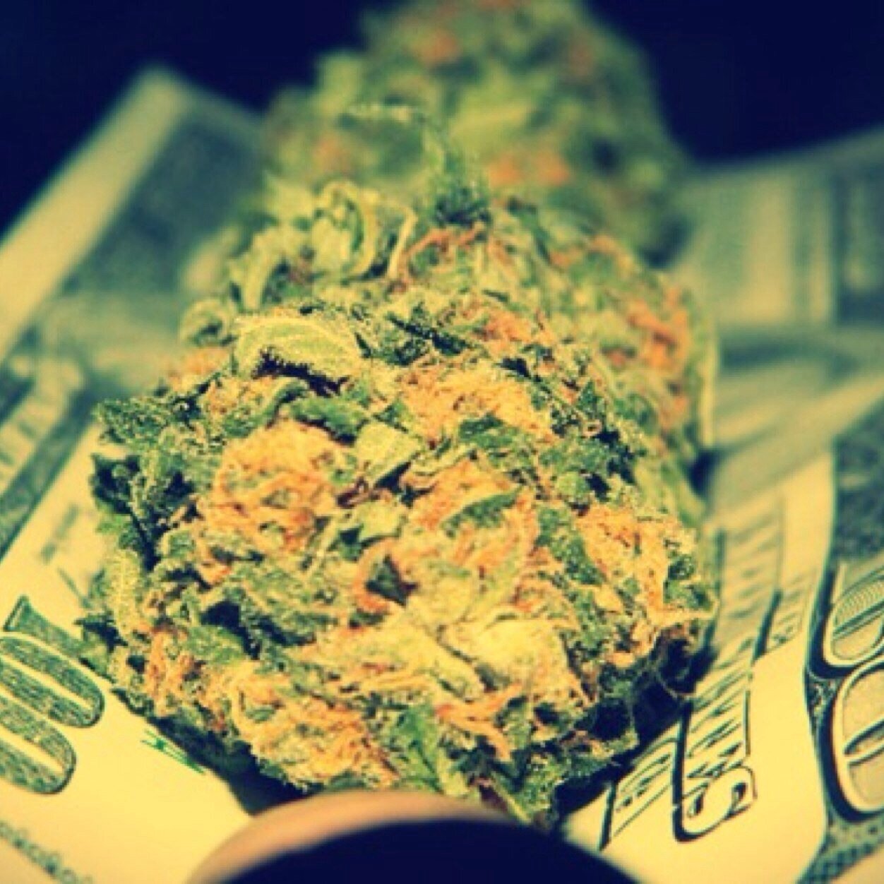Stoners are Welcome