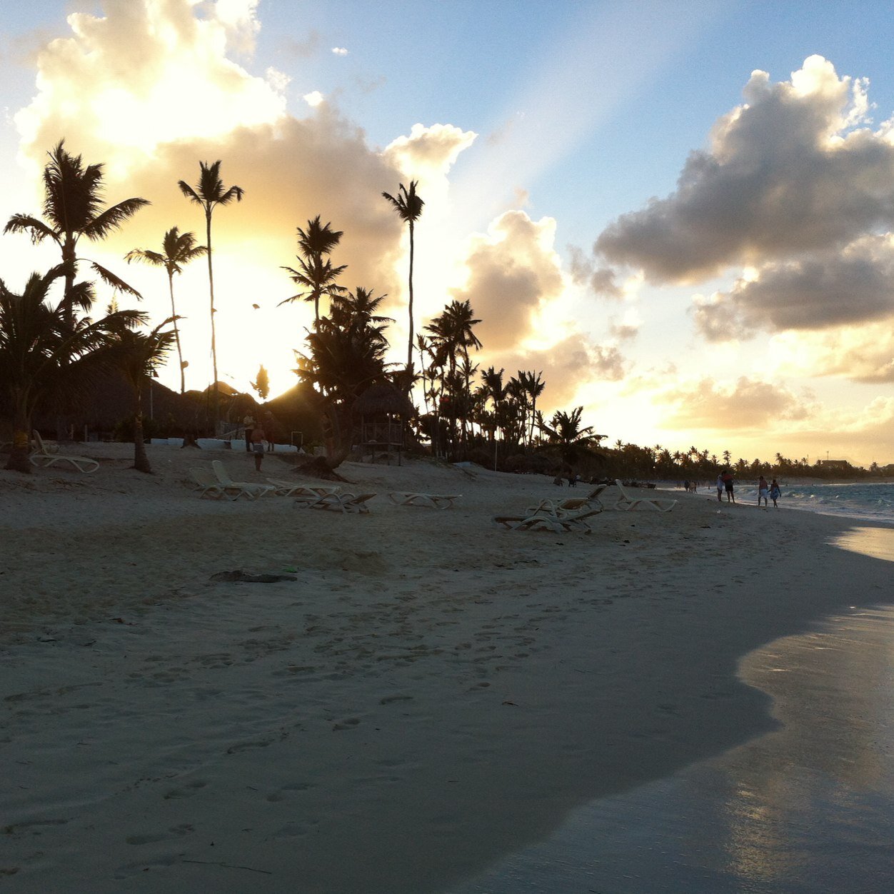 Dcouture4's profile picture. 