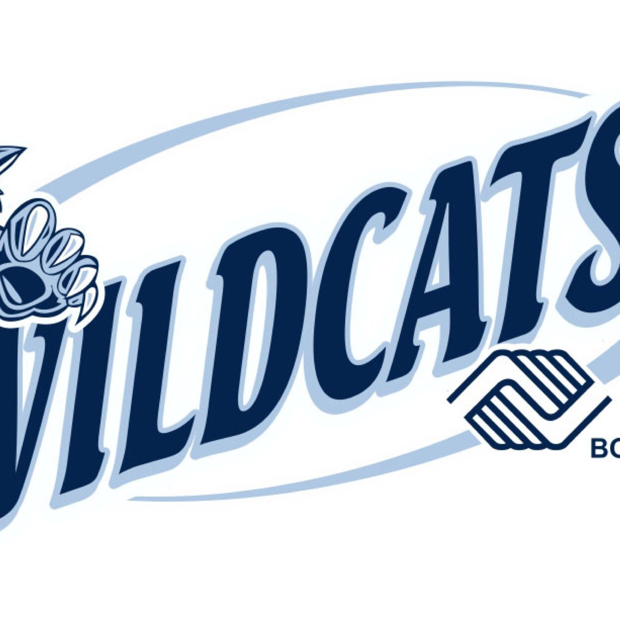 Rockford Wildcats 17U Boys Team