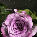 Gregoria Reyes - @gregoria17reyes - Twitter