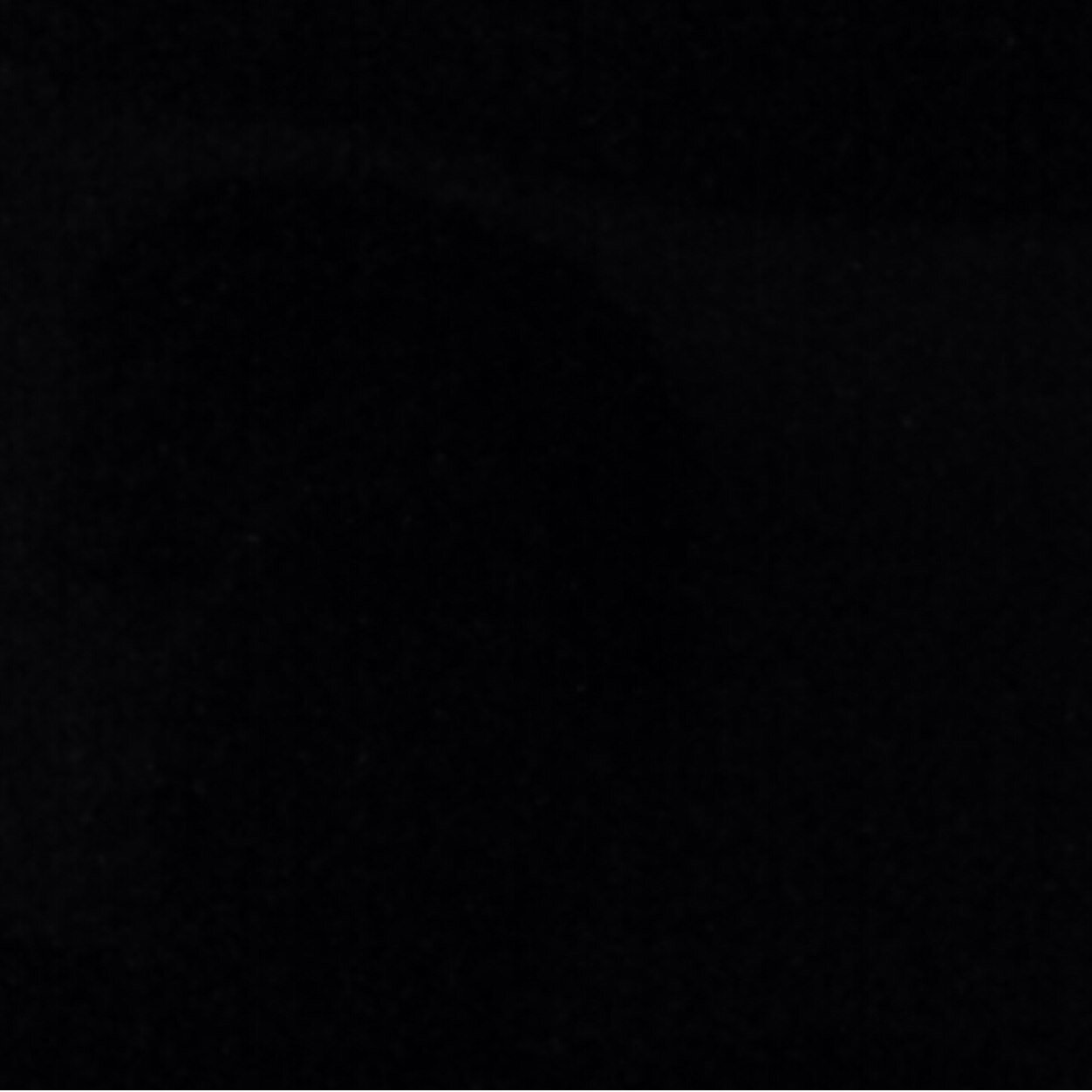 Nuevo twitter @MarianCurrao