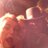 Jim_Murphy94's profile image