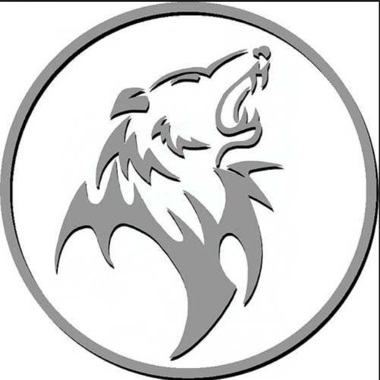 GraserPS's profile picture. 