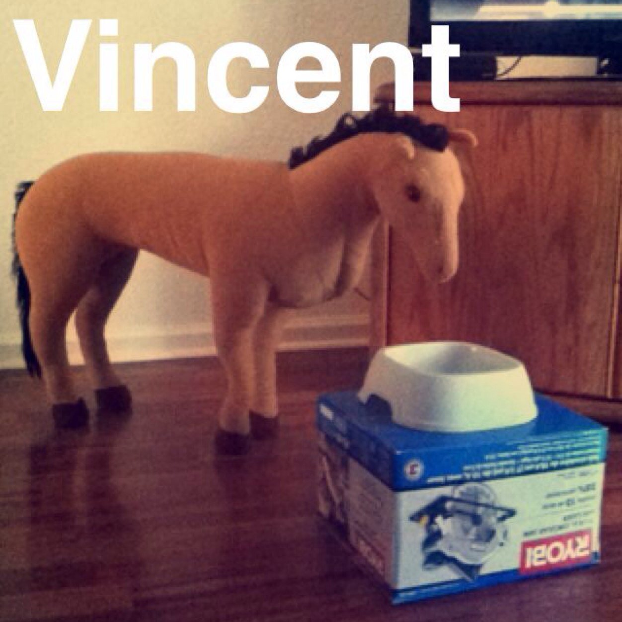 Im just a horse stuck in a mans world.