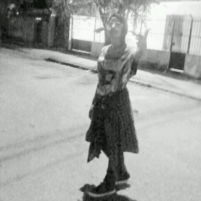 Skrillex +Skate=Vida