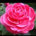 suzanne taylor (@suzanne73542) Twitter profile photo