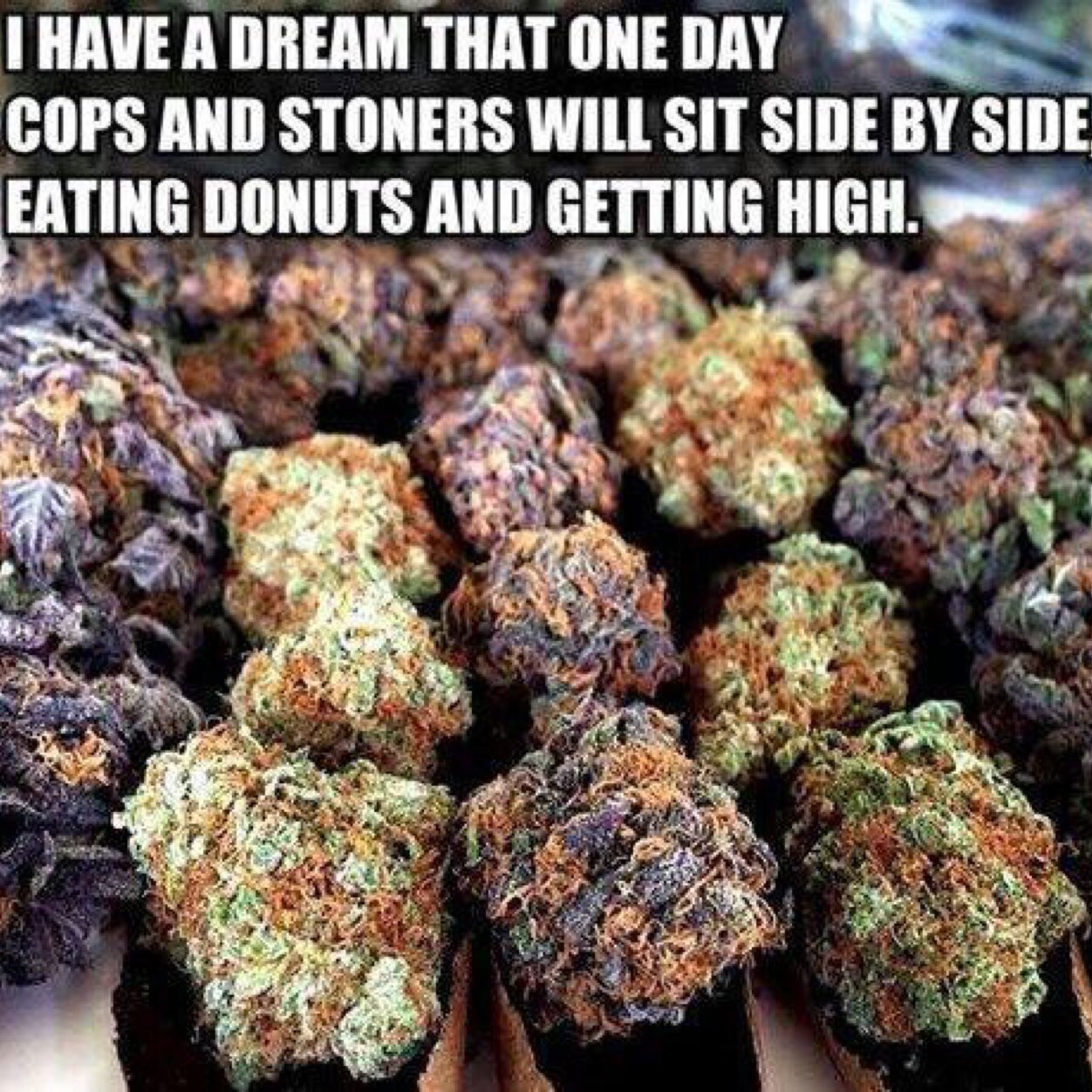 #stayhigh #stoner #followme #purp #weed quote me in all of your weed pics!