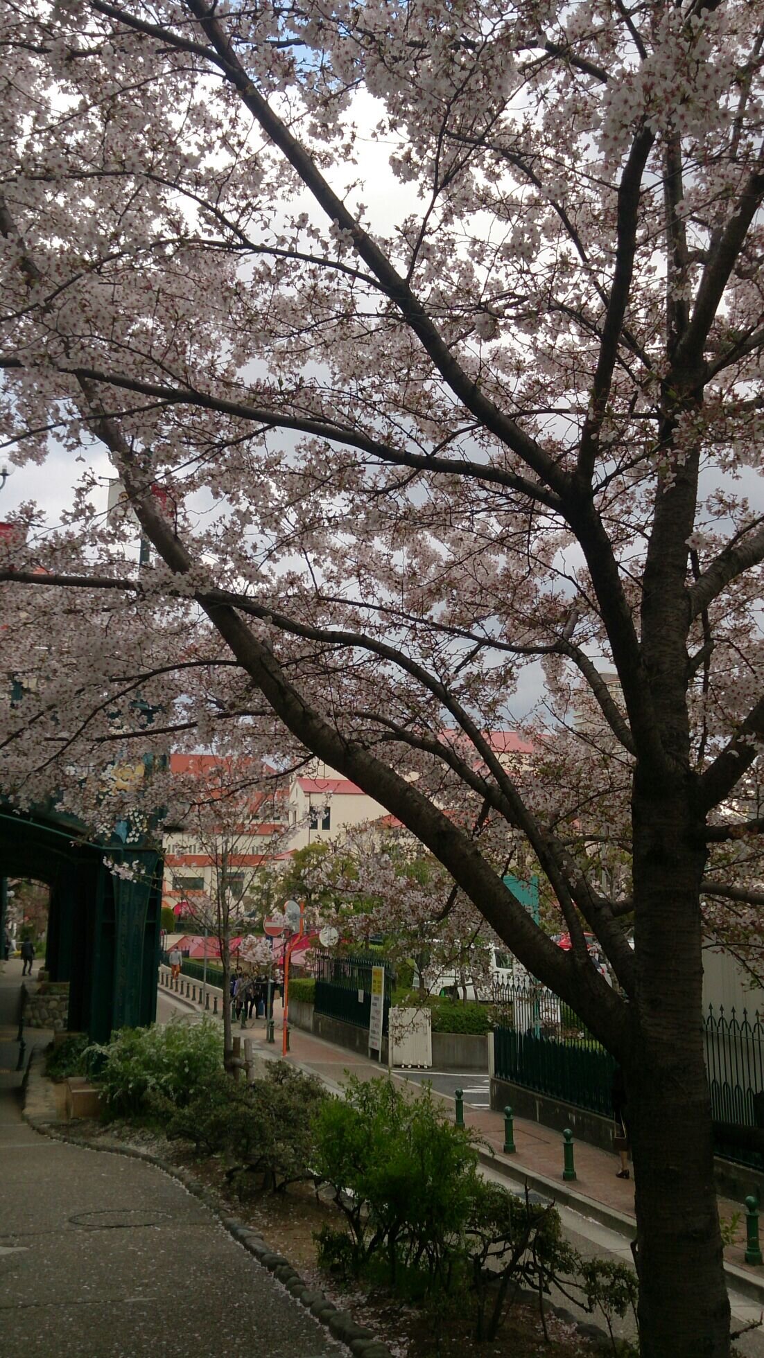 無言フォローで失礼します。
大きな空と七つの海と白い華、そして瑠璃の花。神社仏閣。日本酒派。
舞台好きルーツは宝塚。雑多気味。備忘録的なRT率高し。ご贔屓様の共演者は皆好き！
刀剣界隈の扉が開いて以降、納谷健くんに辿り着いた自覚あり。加藤大悟くんもお気に入り。
宝塚と劇団Patch好きな方に出逢ってみたい…。20↑